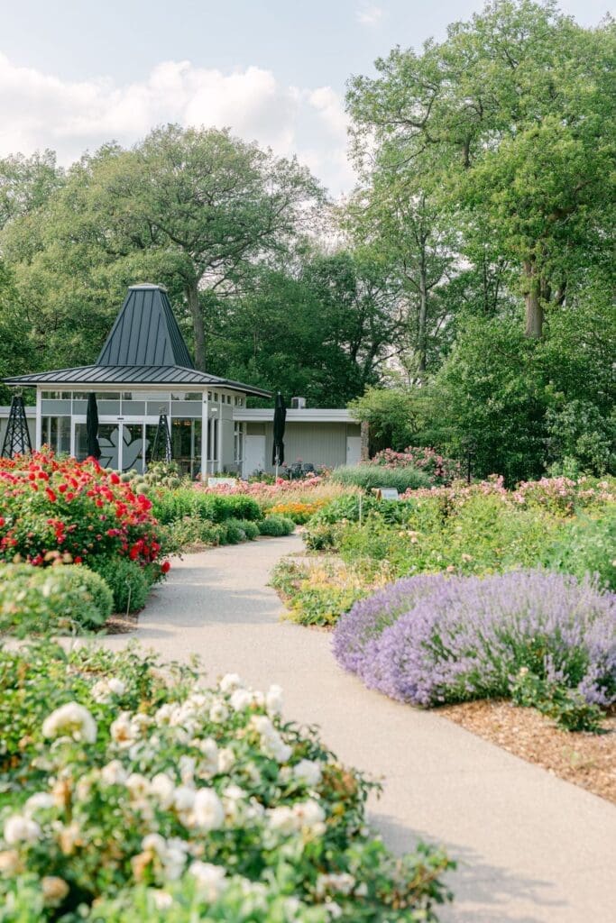 Pathway lined with lavender, roses, and other flowers leading to a garden café in Burlington.